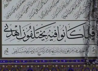 Les ressources incontournables pour apprendre l’arabe seul(e)