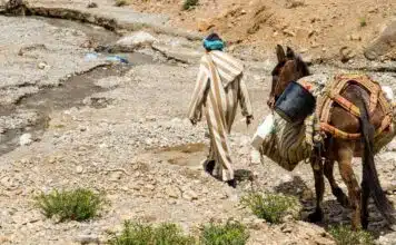 Pourquoi Assimil est la référence en matière d’apprentissage de l’arabe